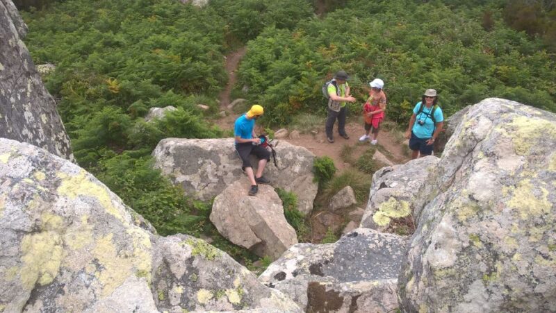 Sintra: Walking Tour With Palace, Castle, and Old Town Visit - Inclusions