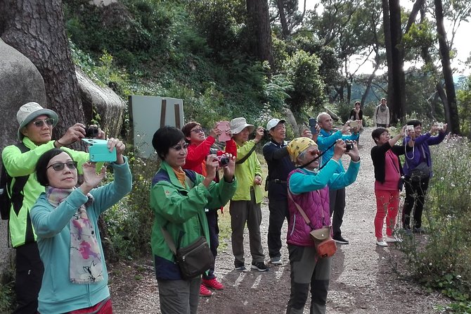 Sintra With Tickets to Monuments Private Tour From Lisbon - Uncovering Moorish Castle