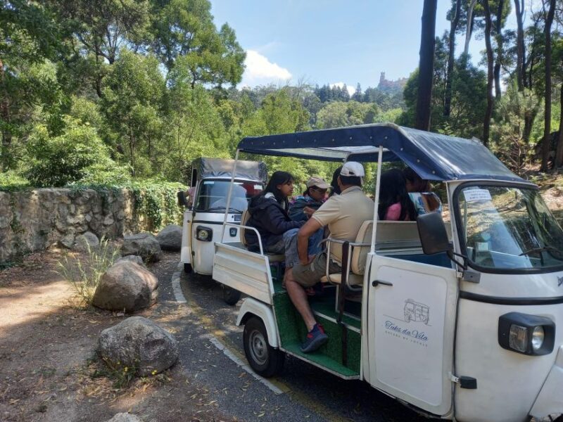 Sintra:1 Hour Tuk Tuk Experience to Pena Palace(3 Monuments) - Suitability Restrictions