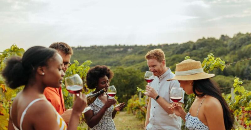 Sip and Savor: Private Yarra Valley Wine Tour From Melbourne - Private Wine Tasting Experience