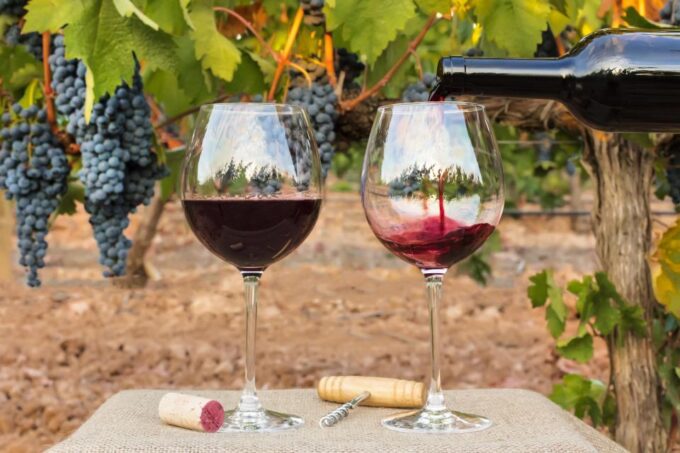 Sip and Savor: Private Yarra Valley Wine Tour From Melbourne - Tour Inclusions and Other Information