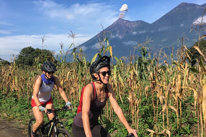 Sip N Cycle Coffee and Mountain Bike Tour - What to Expect