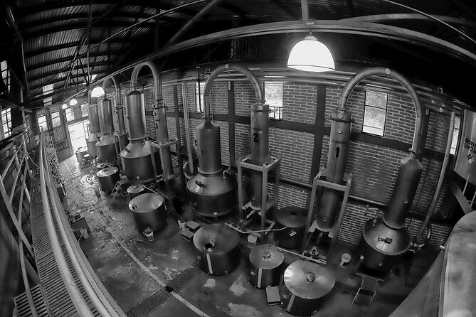 Sip & Savor Tequila Experience Distillery W/ Lunch Fr Guadalajara - Tour Specifications and Accessibility