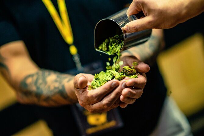 Sip, Stroll, and Discover Phoenix's Best Breweries - The Sum Up: Is It Worth It?