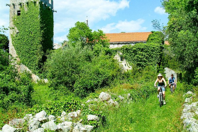 Sipan Island Cycling - Cycling Through Olive Groves and Vineyards