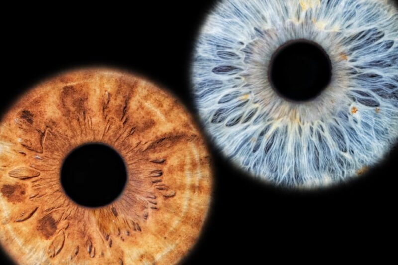 Siracusa Iris Photography Experience - Key Points