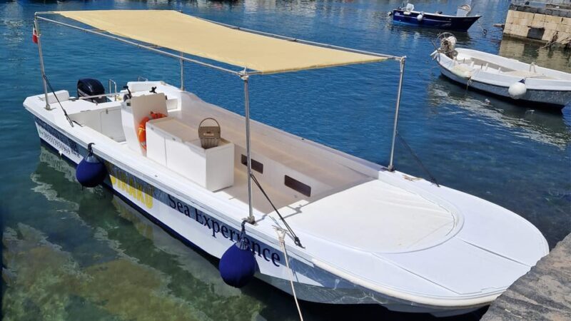 Siracusa:Ortigia & Sea Caves 1-Hour Boat Tour With Swim Stop - Key Points