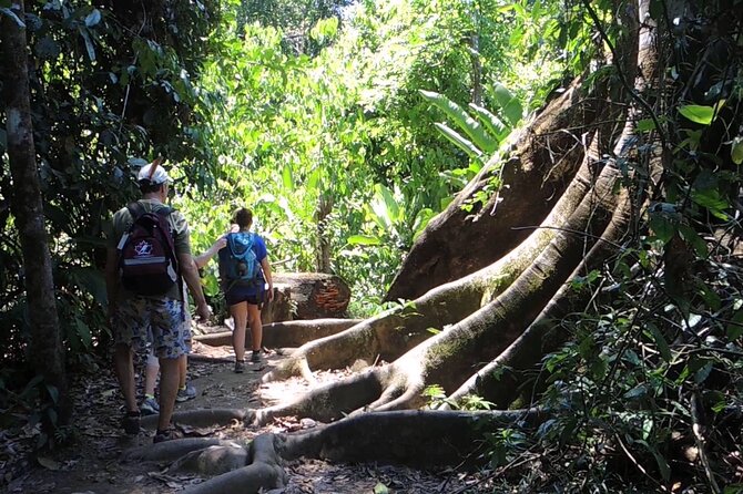 Sirena, Corcovado - 2 Nights From Puerto Jimenez - Inclusions and Exclusions