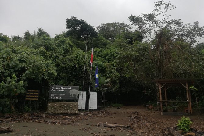 Sirena Overnight Tour, Dozing in the Forest Will Be One of His Memories - Key Points