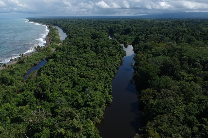 Sirena Overnight Tour, Dozing in the Forest Will Be One of His Memories - Included Amenities and Accommodations