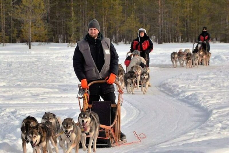 Sirkka: Husky Sled Ride in Levi - Husky Interaction