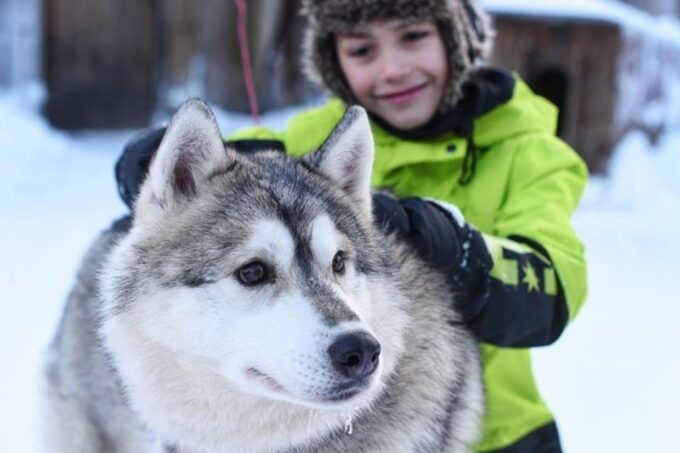 Sirkka: Husky Sled Ride in Levi - Suggestions for Improvement