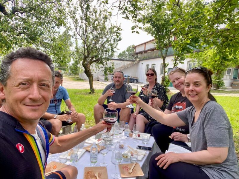 Sirmione: Vineyard Tour With Lugana Wines and Local Tastings - Overview of the Vineyard Tour