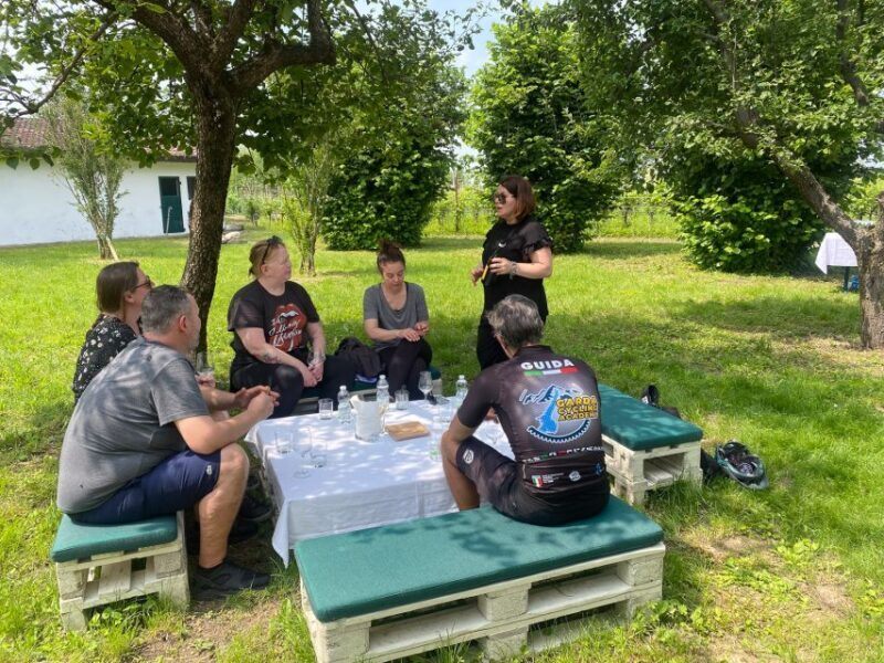 Sirmione: Vineyard Tour With Lugana Wines and Local Tastings - Customer Experiences and Ratings