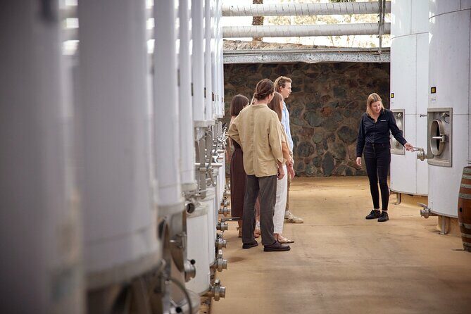 Sirromet Winery Eataly Discovery - Includes Tour, Tasting and 3 Course Lunch - What to Expect from the Tour