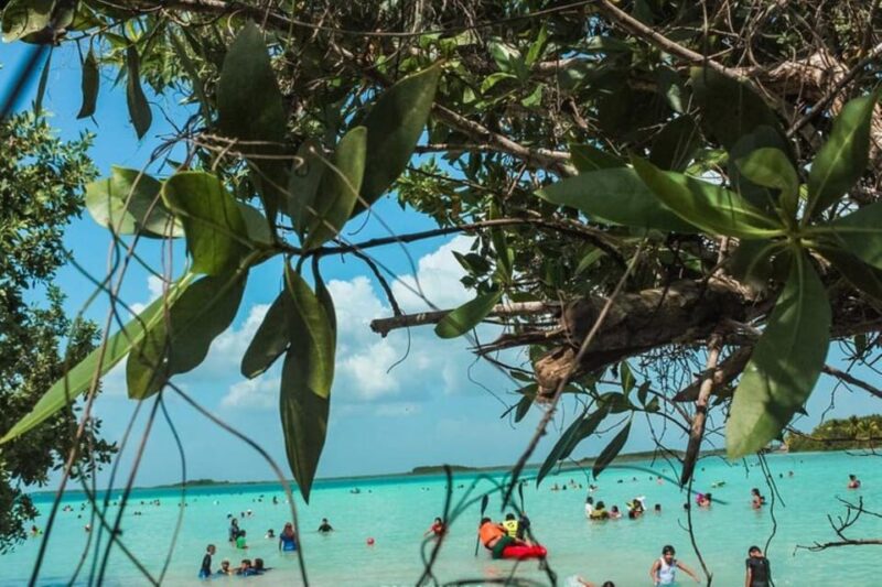Sisal Kayak Through Mangroves and Bird Watching Tour - Itinerary Highlights