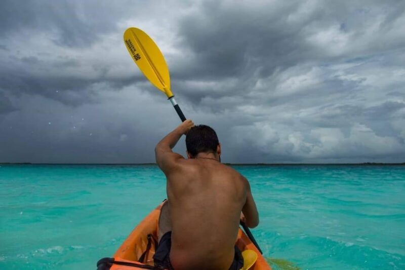 Sisal Kayak Through Mangroves and Bird Watching Tour - Inclusions and Amenities