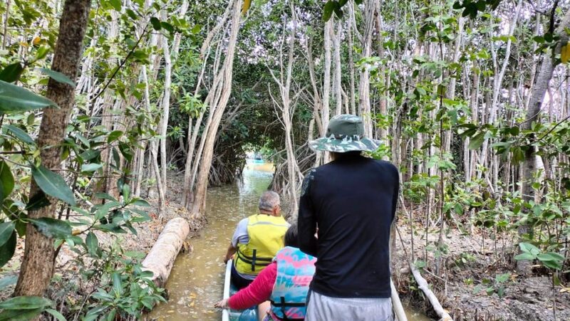Sisal Kayak Through Mangroves and Bird Watching Tour - Important Information
