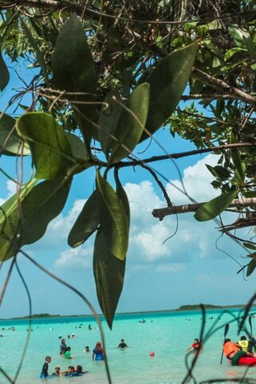 Sisal Kayak Through Mangroves and Bird Watching Tour - Meeting Points