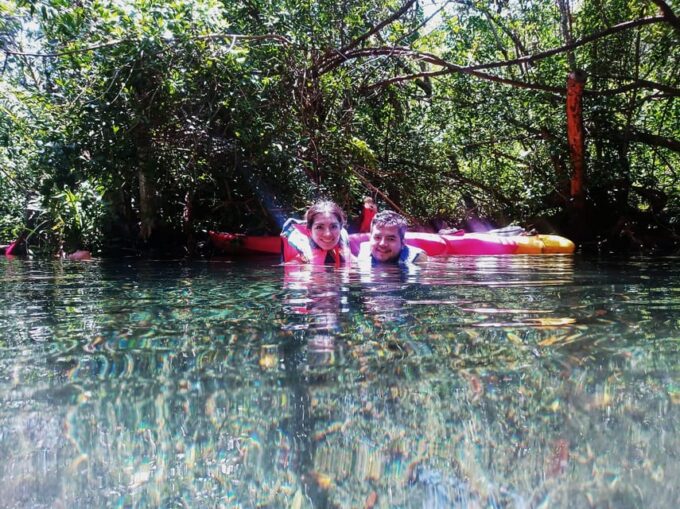 Sisal Kayak Through Mangroves and Bird Watching Tour - Kayaking and Wildlife Viewing