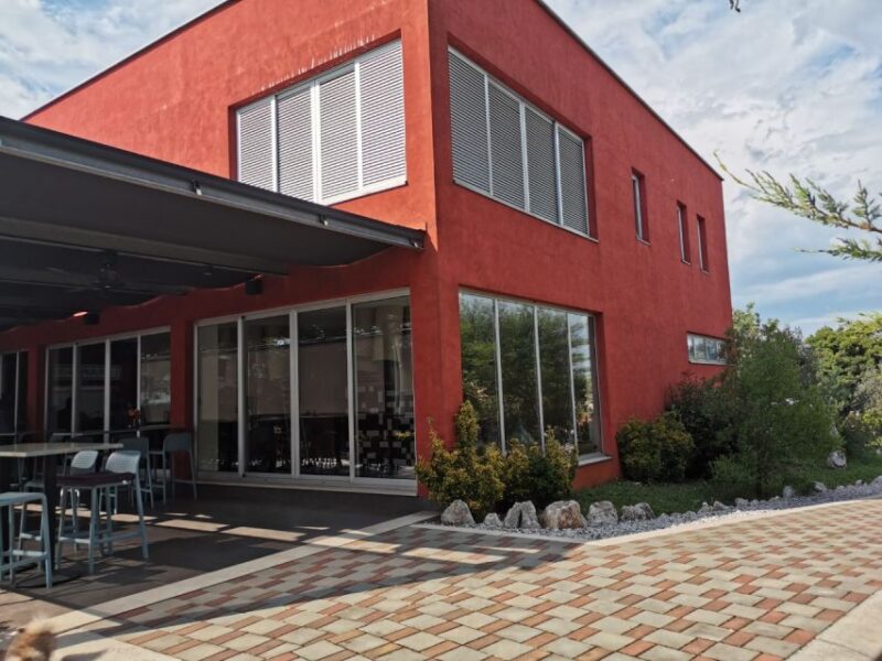 Šišan: Organic Winery Tour and Tasting Experience - Experience Highlights