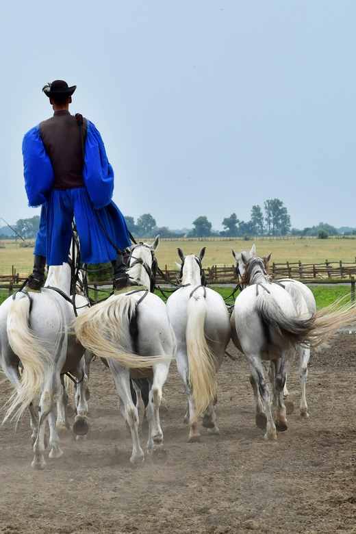 Sissy Palace Tour - Optional Hungarian Horse Show and Lunch - Heritage and Location