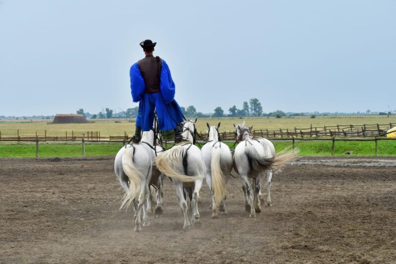Sissy Palace Tour - Optional Hungarian Horse Show and Lunch - Customer Feedback