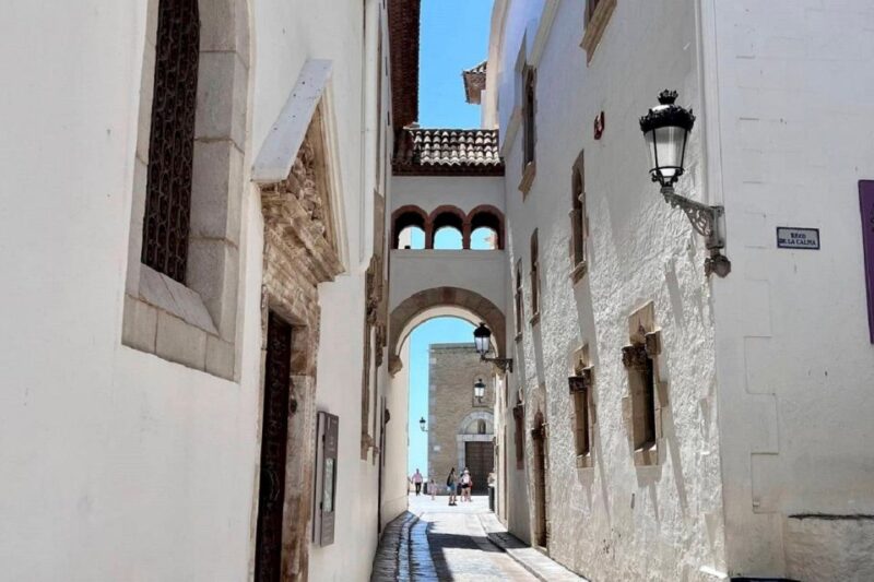 Sitges: Sailboat Trip + Walking Tour and Wine Cellar Tour - Learning About Malvasia Grape Variety