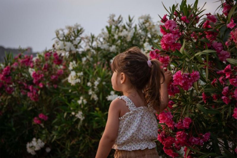 Sithonia : Holiday Photoshoting Keep Yours Memory for Ever . - Pricing