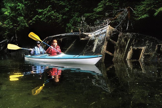 Sitka Boat and Sea Kayaking Adventure - Enjoying the Scenic Surroundings