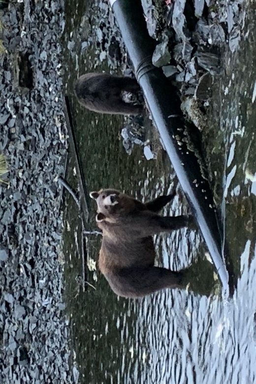 Sitka Boat Tours: Whale Watching, Hot Springs, Kayaking - Pickup and Meeting Points