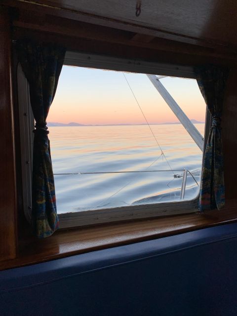 Sitka Boat Tours: Whale Watching, Hot Springs, Kayaking - Cancellation Policy