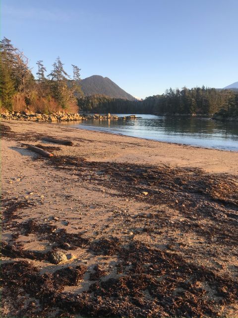 Sitka Boat Tours: Whale Watching, Hot Springs, Kayaking - Frequently Asked Questions