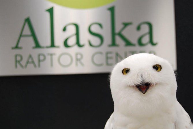 Sitka Premium Tour- Private- Alaska Raptor Center, Fortress of the Bears,Totems - Discovering Totem Poles
