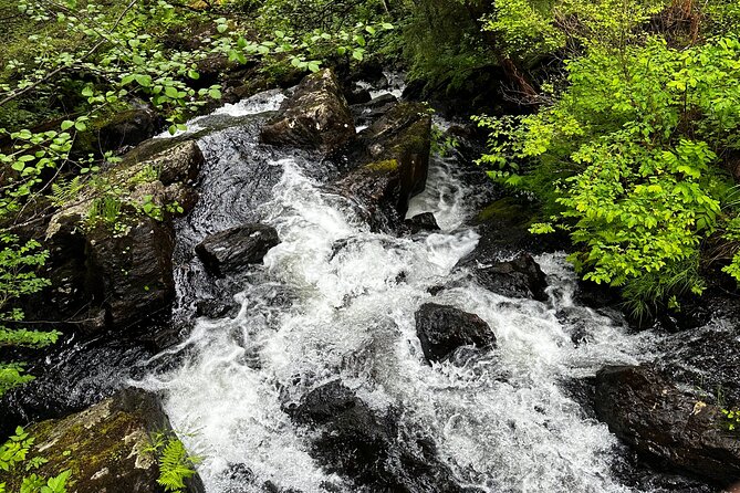 Sitka Private Adventure 4x4 Truck Tour & Lunch W/2 Admissions - Curated Dining Experience