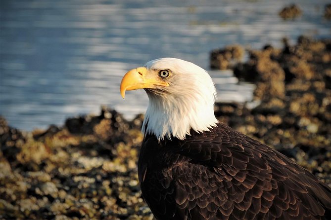 Sitka Scenic Tour - Meeting Point and Ending