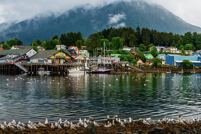 Sitka Shore Excursion: Sitka Harbor & Islands Guided Kayaking - Booking Process and Policies