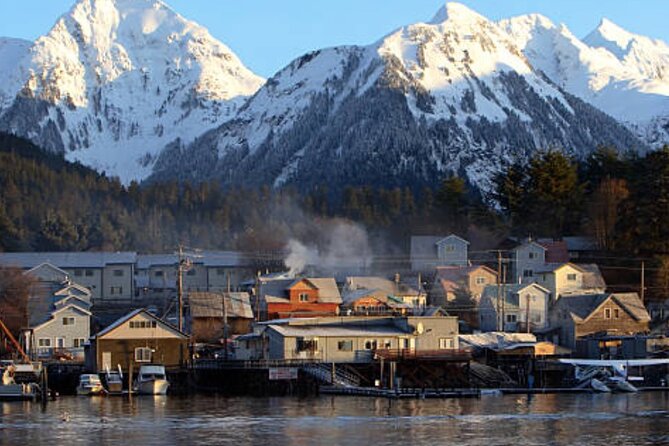 Sitka Shore Excursion: Sitka Harbor & Islands Guided Kayaking - Tips for Capturing the Experience