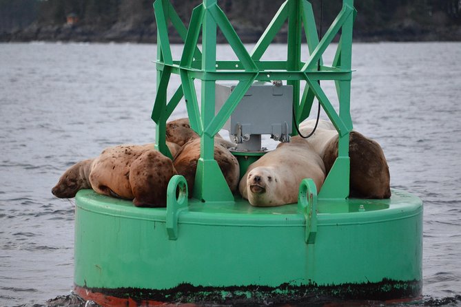 Sitka Shore Excursion: Whale-Watching and Marine Life Tour - Inclusions