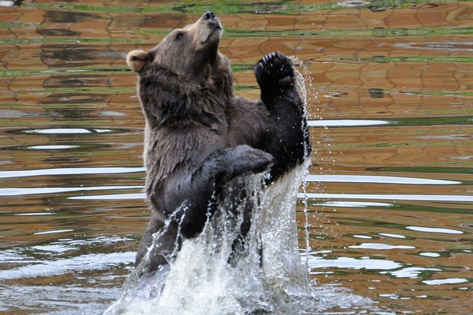 Sitka Sightseeing Tour Including Fortress of the Bear and Totem Poles - Japonski Island and WWII