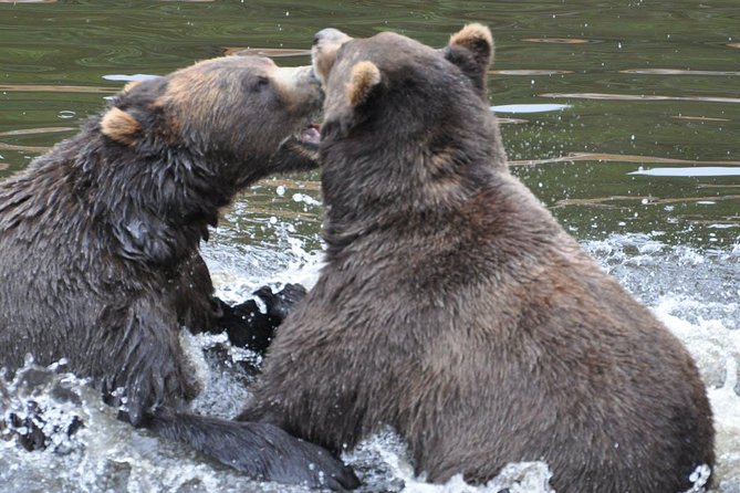 Sitka Sightseeing Tour Including Fortress of the Bear and Totem Poles - Cultural Landmarks