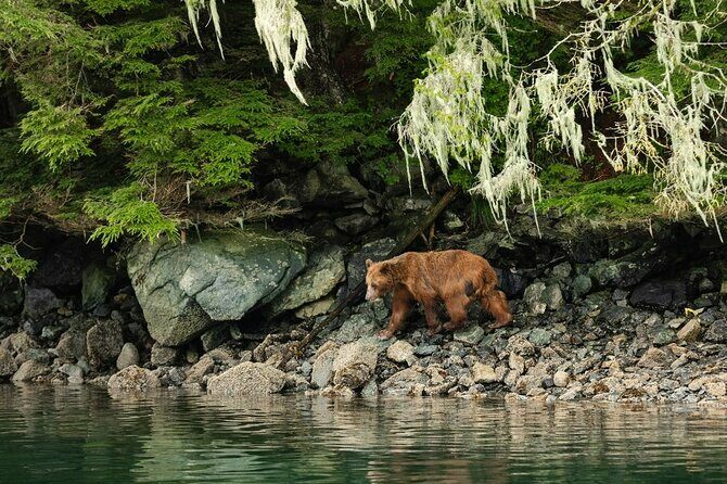 Sitka Whale Watch and Sea Otter Quest - An In-Depth Look at the Experience