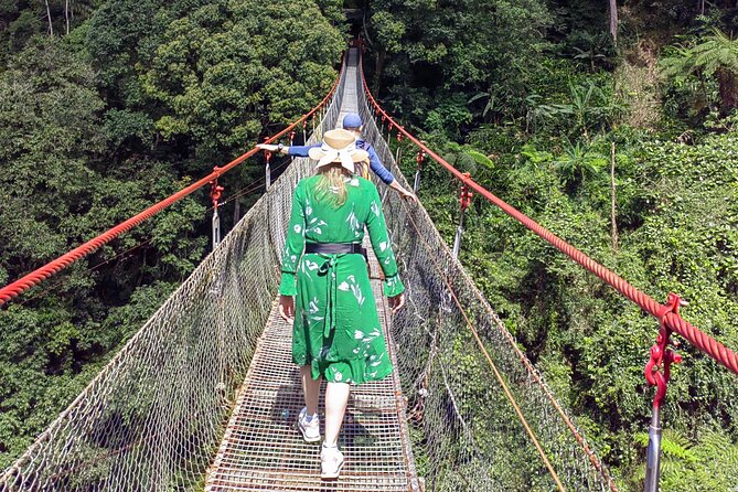 Situ Gunung Waterfall & Suspension Bridge Sukabumi Start Jakarta - Experience Highlights