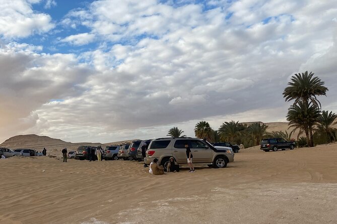 Siwa Safari Tour - Pricing and Availability
