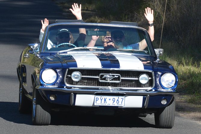 Six-Bridges-of-Sydney-Vintage-Car-Ride-Experience - Unique Sound Experience