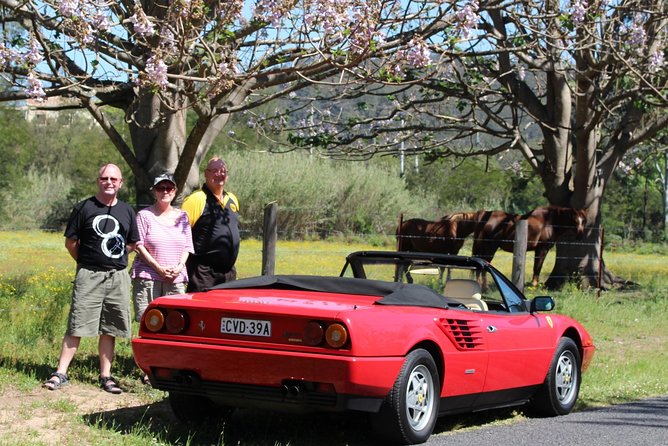 Six-Bridges-of-Sydney-Vintage-Car-Ride-Experience - Booking and Ratings