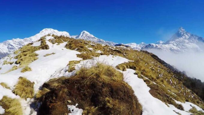 Six-Day Group Joining Mardi Himal Trek: From Pokhara - Pickup and Guide Information