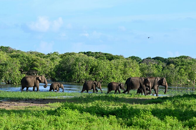 Six-Day Private Tour in Sri Lanka With 3-Star Hotel Stays and HB - Admission Fees and Activities