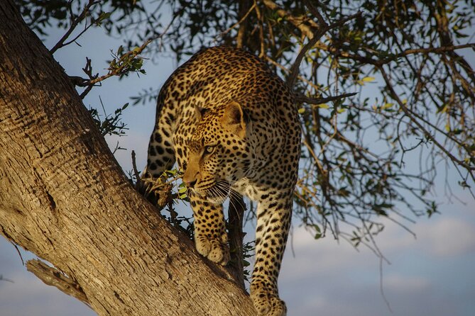 Six-Day Private Tour in Sri Lanka With 3-Star Hotel Stays and HB - Cancellation and Confirmation