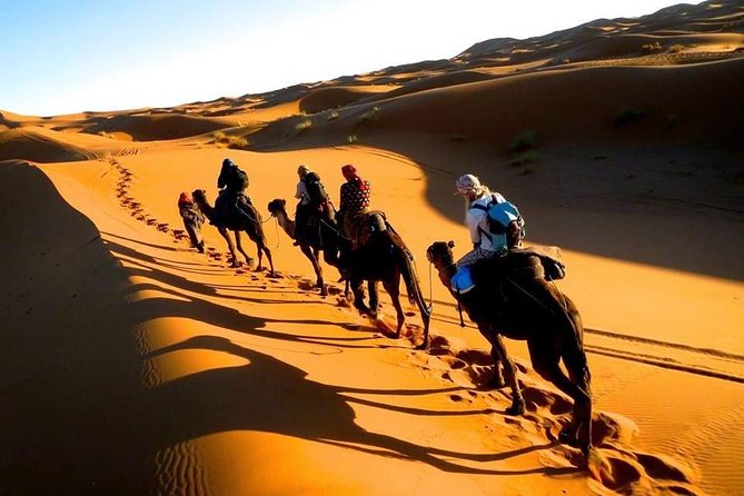 Six Days From Casablanca To Sahara - Pickup Information